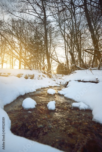 A small forest river with crystal clear water near the snow-covered Baltic sea coast at sunset. Warm evening sunlight through the tree trunks. Idyllic winter scene. Kaltene, Latvia photo