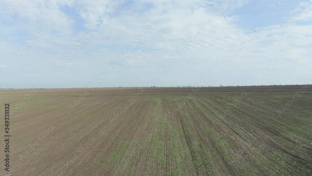 Beautiful view of field on sunny day. Drone video recording Beautiful view of field on sunny day. Drone video recording
