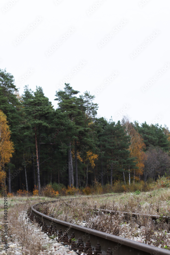 Obraz premium old rustic empty train railway and autumn forest
