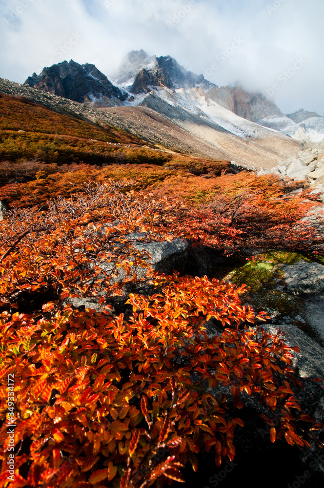 Obraz premium Autumn in Torres del Paine National Park, Chile.
