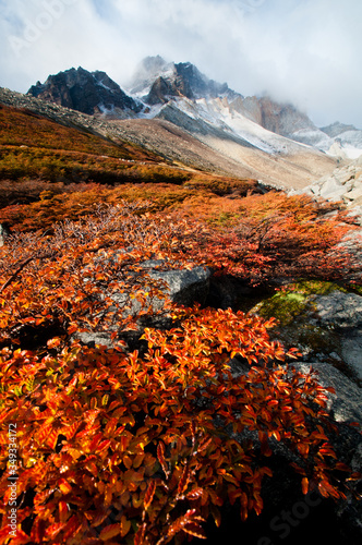 Fototapeta Naklejka Na Ścianę i Meble -  Autumn in Torres del Paine National Park, Chile.