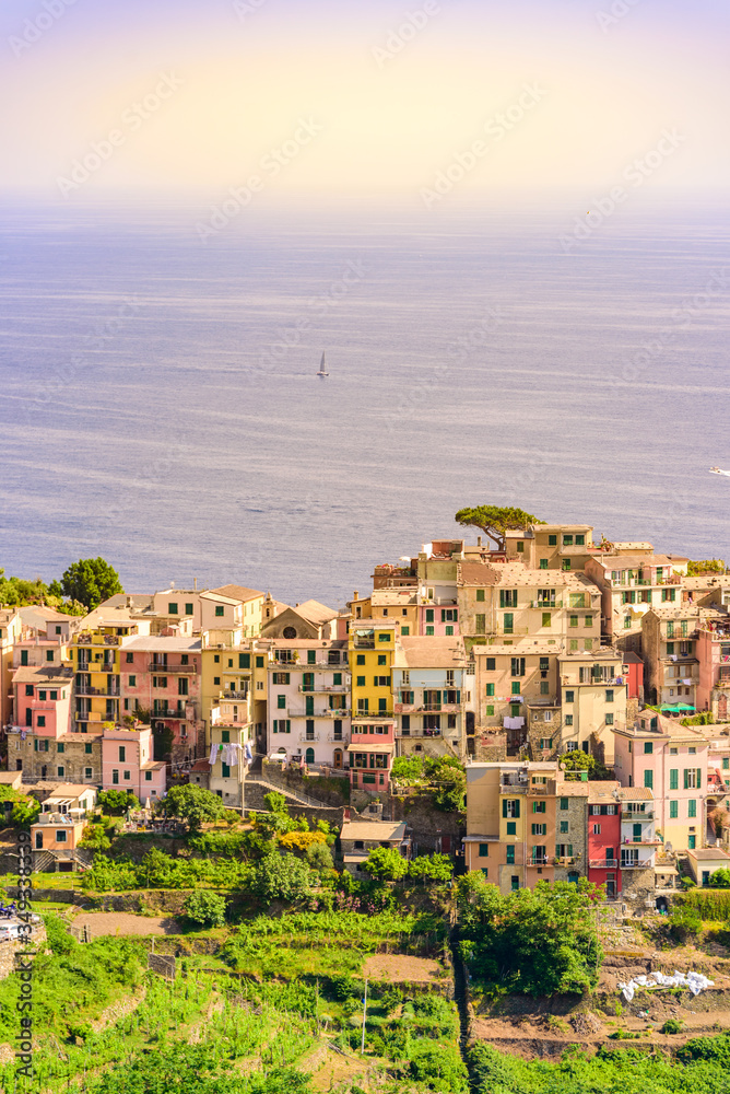 Obraz premium Corniglia - Village of Cinque Terre National Park at Coast of Italy. Province of La Spezia, Liguria, in the north of Italy - Travel destination and attractions in Europe.