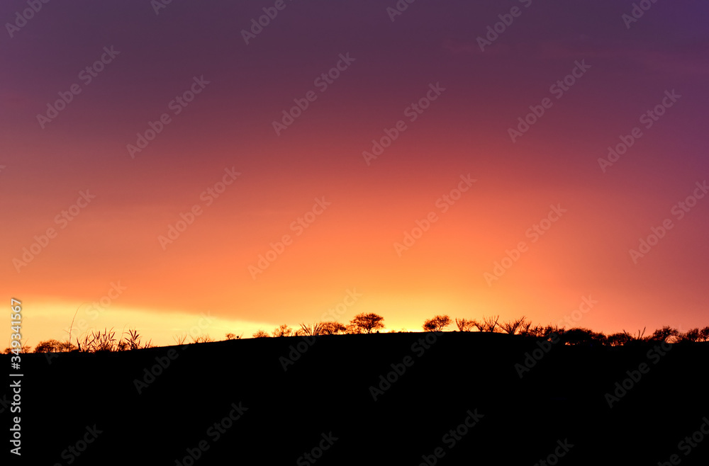 sunset in the field