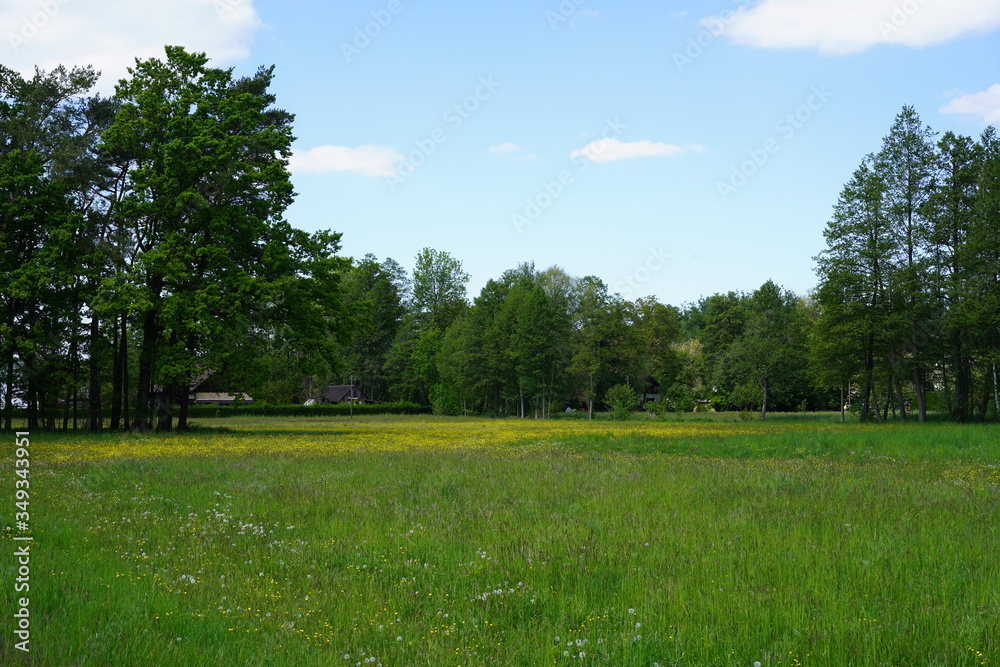 Spreewaldlandschaft mit bunter Wiese, grünen Bäumen und traditionellen Häusern