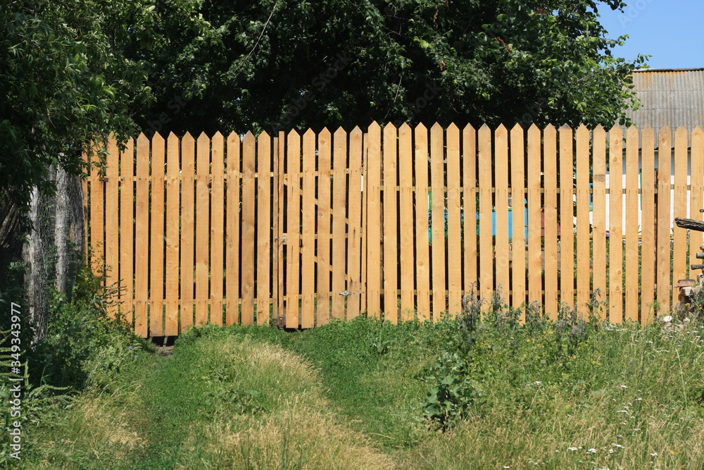 Fototapeta premium wooden fence and grass