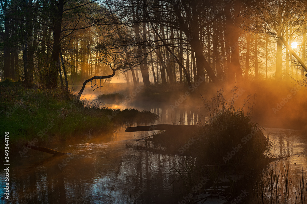 Obraz premium dawn on the river 2