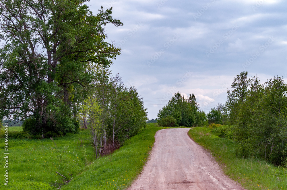 View of a dirt road among the fields, with trees on the side of the road, a quiet spring evening