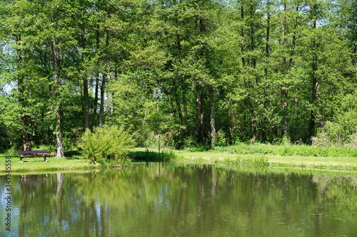 Der Hafen von Leipe im Spreewald photo