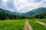 Mountain trails in June. Kondratowa Valley. Tatry.