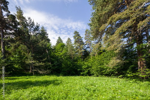 Rhodope Mountains near village of Dobrostan, Bulgaria photo