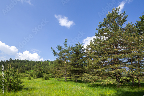 Rhodope Mountains near village of Dobrostan, Bulgaria