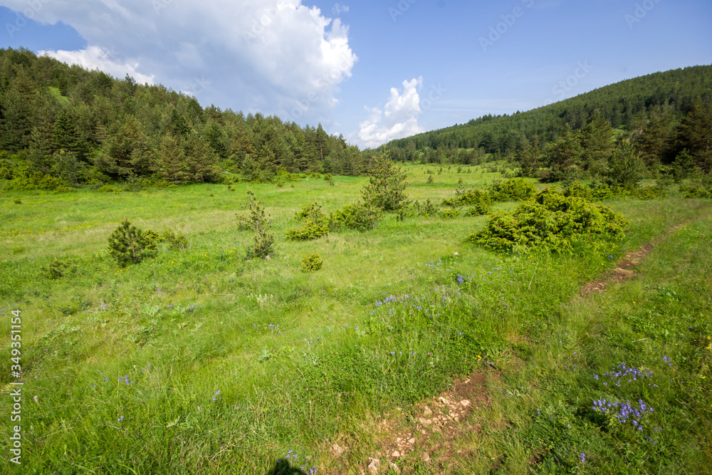 Rhodope Mountains near village of Dobrostan, Bulgaria Rhodope Mountains near village of Dobrostan, Bulgaria