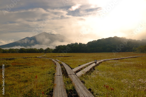 wooden path in the mash land in the morning