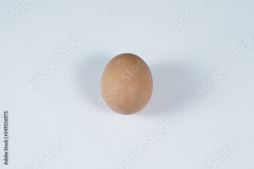 a egg isolated  in  white background