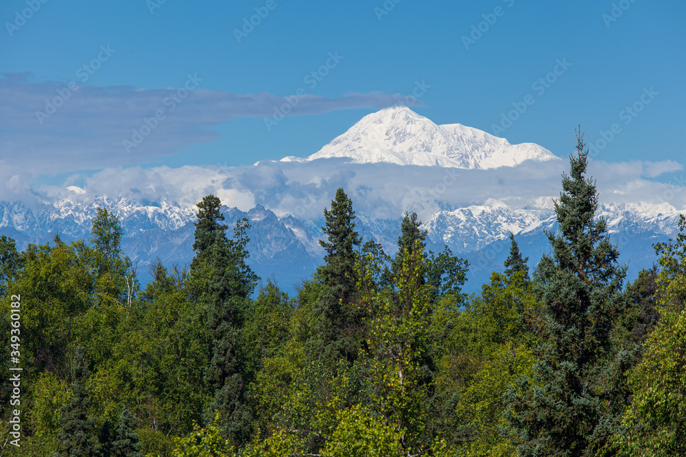 Snow capped mountains and trees in Alaska