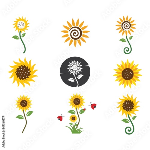 Sunflower logo icon vector