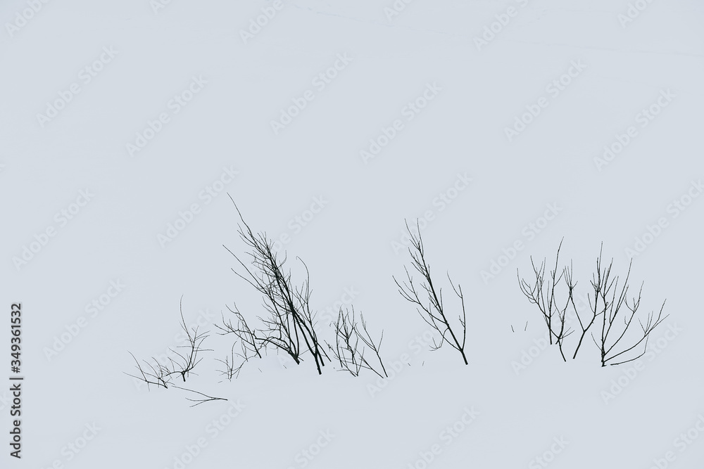 natural attractions of the Barents sea coast