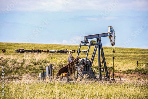 Fotografie Working pump jack on oil or gas well out in pasture with a herd of cows in the b