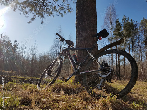 Mountain bicycle stay among a forest glade. Sunny spring or autumn day.