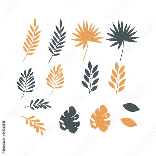Clipart of yellow and green tropical leaves on a white background