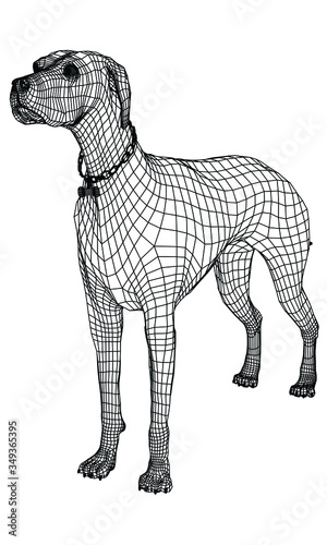 Standing dog polygonal lines illustration. Abstract vector dog on the white background