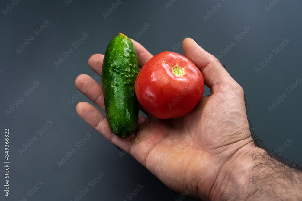 Tomato and cucumber lie on the palm Tomato and cucumber lie on the palm