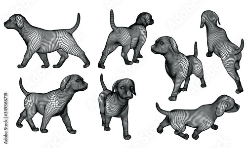 Fototapeta Naklejka Na Ścianę i Meble -  Puppy polygonal lines illustration. Abstract vector dog on the white background