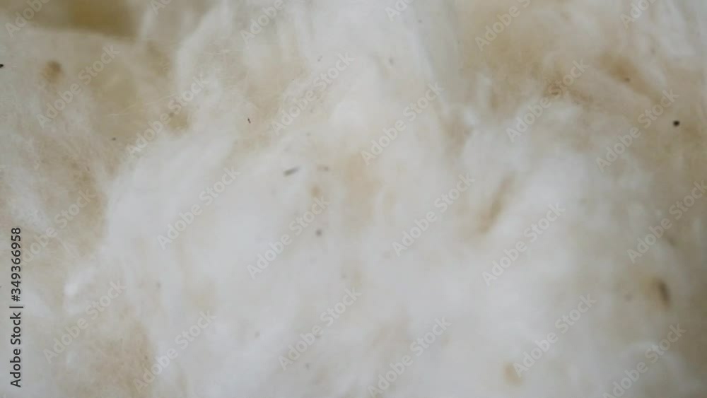 close up of organic wool fibers slow motion. close up of organic wool fibers slow motion.