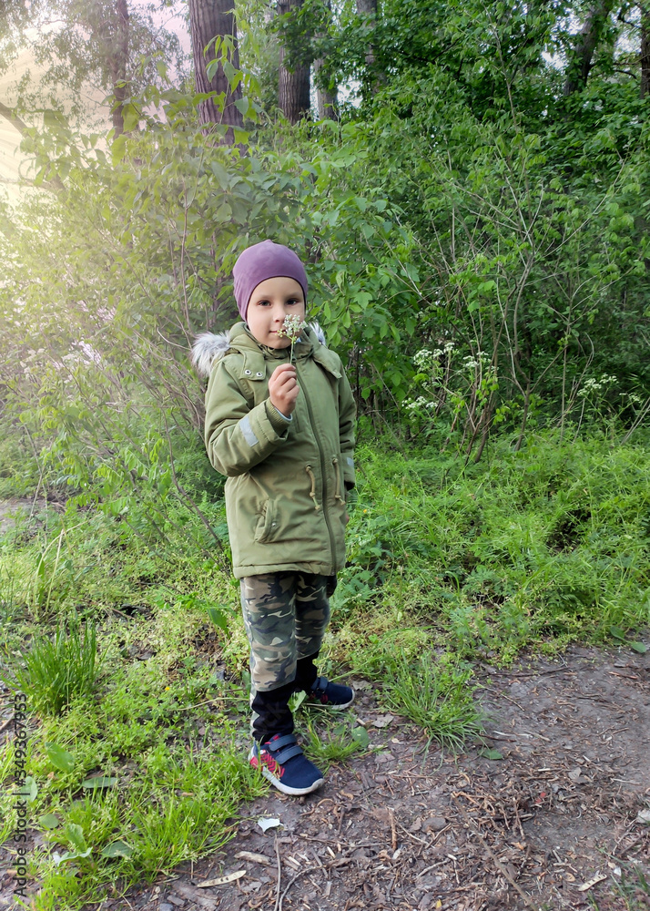 A boy in a green jacket and a purple hat sniffs a white flower while strolling in a green park in the evening A boy in a green jacket and a purple hat sniffs a white flower while strolling in a green park in the evening