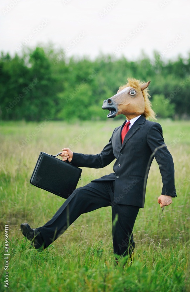 Funny businessman horse on field full of grass Funny businessman horse on field full of grass