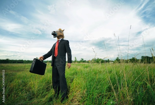 Funny businessman horse on field full of grass