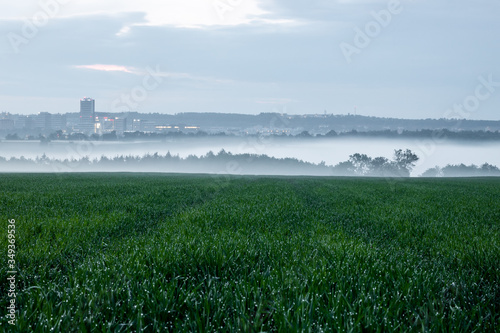 Prague, Czech Republic, view from field to the foggy city after rain photo