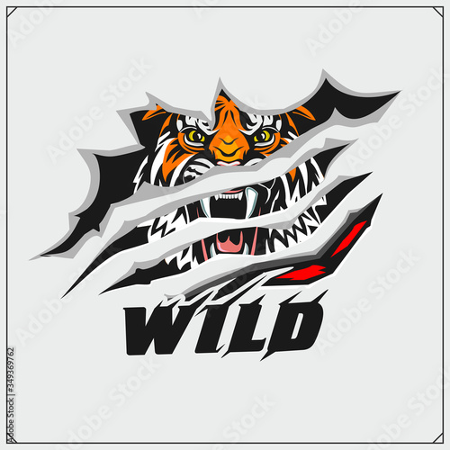 Sport club emblem with tiger. Print design fot t-shirt. 