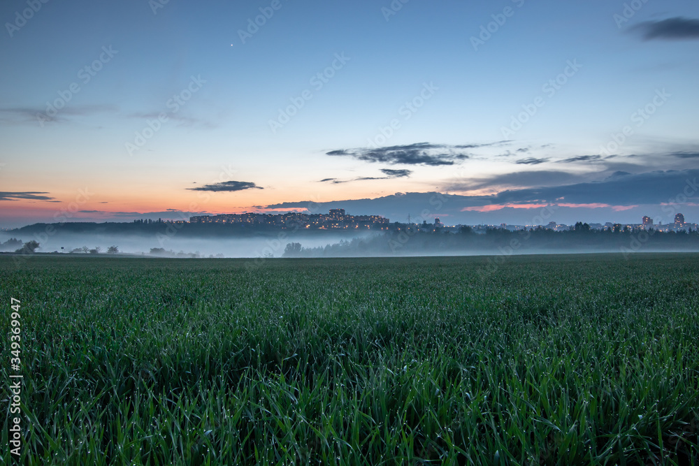 Prague, Czech Republic, view from field to the foggy city after rain