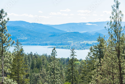 Ponderosa pine forest with view of Okanagan Lake, Okanagan Valley, and mountains
