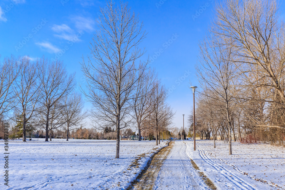 Fototapeta premium Herbert S. Sears Park