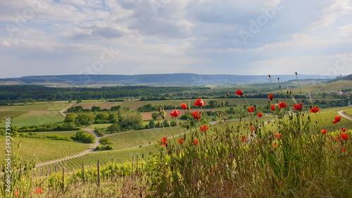 Wunderschöner Blick über das Zabergäu