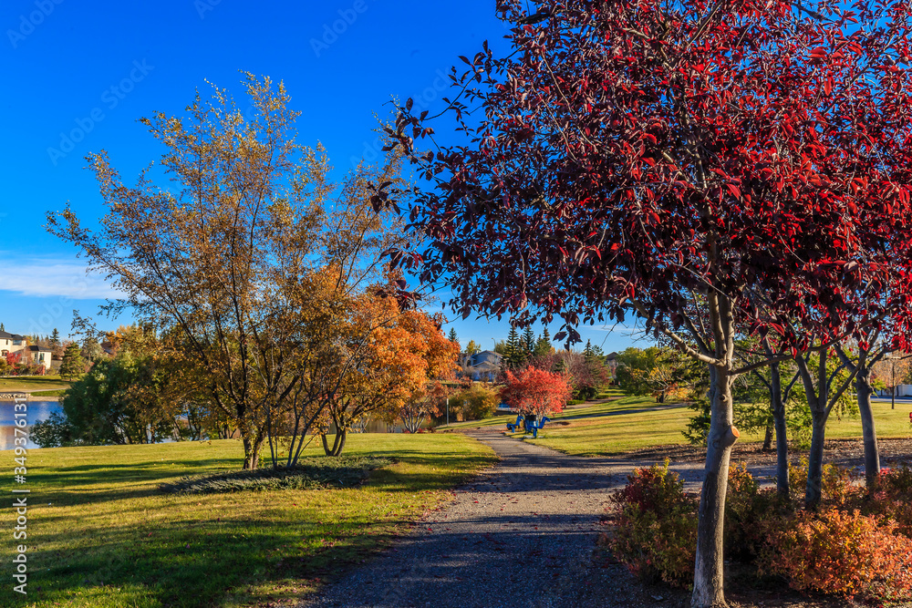 Fototapeta premium John Avant Park
