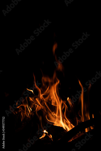 A tree burning with yellow flames on a dark background