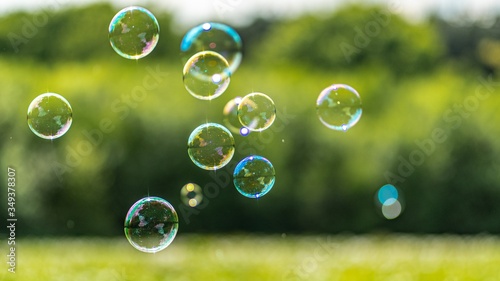 soap bubbles on green grass