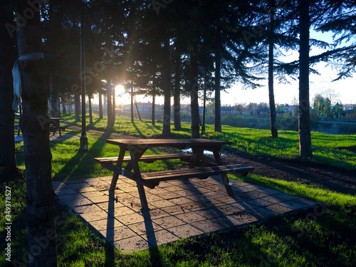brown wooden picnic bench surrounded by green trees