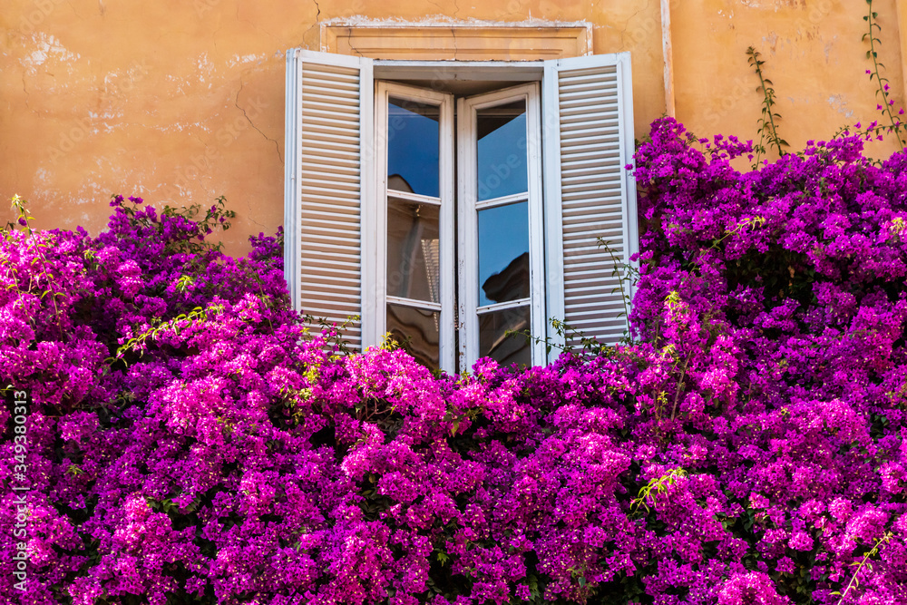 window with flowers window with flowers