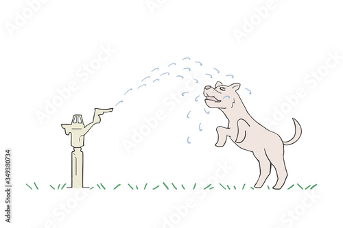 Design of dog playing witn water sprinkler