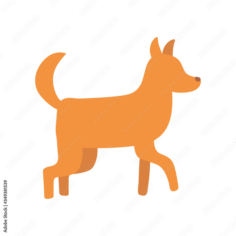 pet dog domestic animal isolated icon design