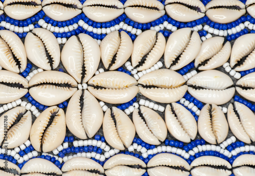 Fototapeta premium Caracoles