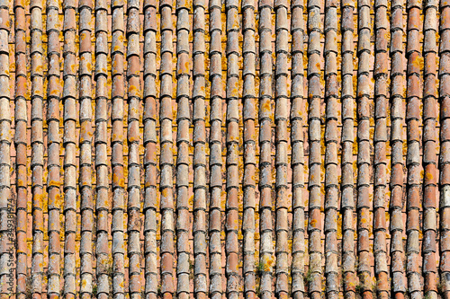 Mossy old roof tiles texture