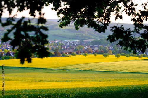 View of the rapeseed fields and the small German town of Bad Pyrmont.