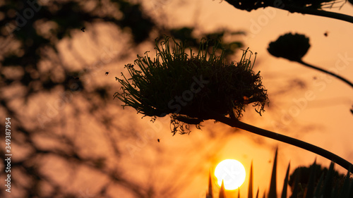 sunset in the mountains