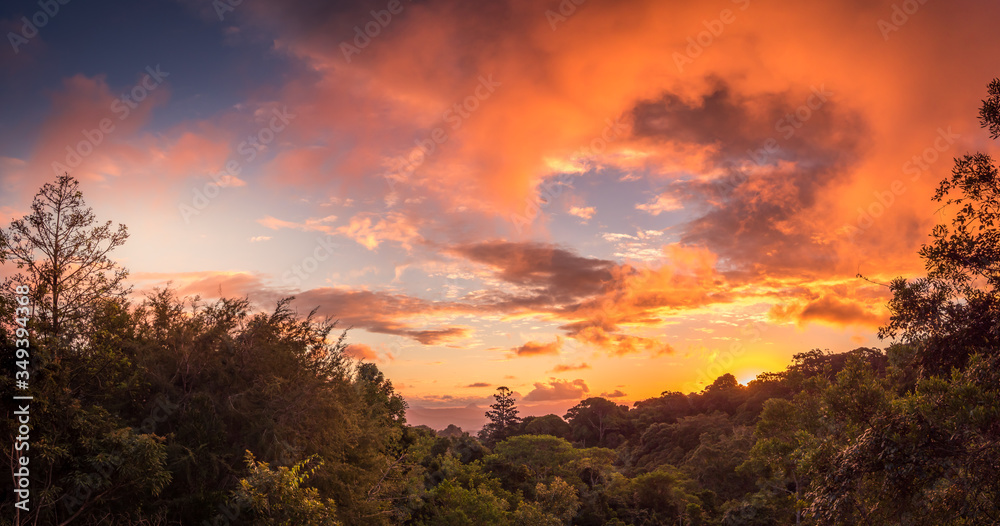 Panoramic Rainforest Sunset with Clouds