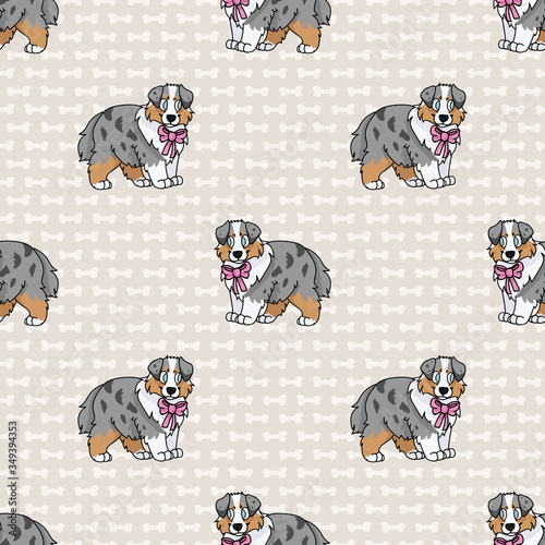 Hand drawn cute australian shepherd puppy with pink bow seamless vector pattern. Purebred pedigree domestic dog on paw background. Dog lover Australia pet all over print. Kennel pooch. EPS 10.  photo